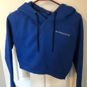 Alphalete Signature Performance Crop Hoodie XS
